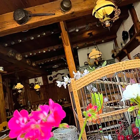 Gaestehaus Alter Keller فندق 2*