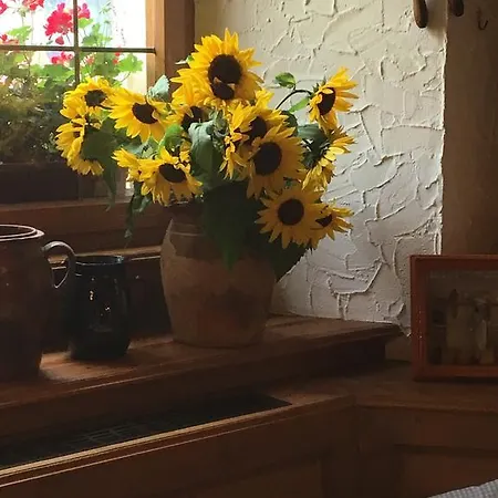 Gaestehaus Alter Keller روتنبورغ أوب در تاوبر