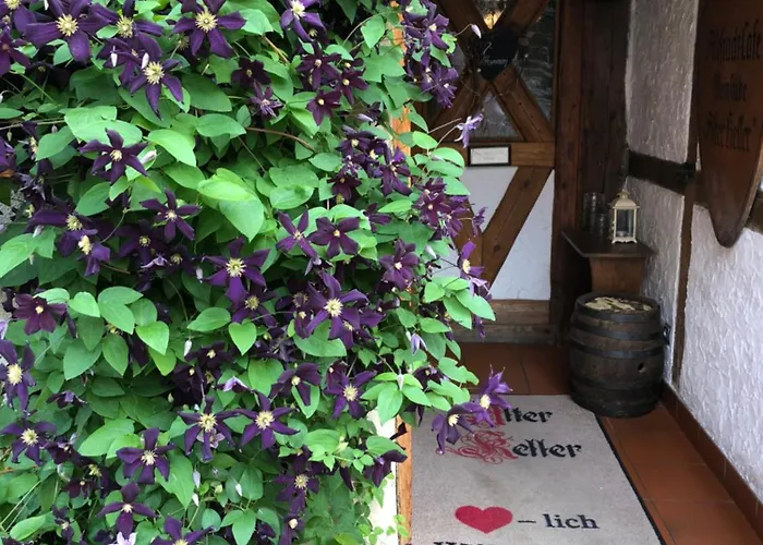 Gaestehaus Alter Keller Hotell